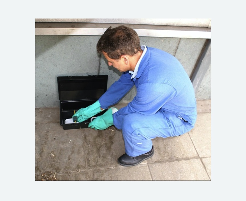 Дератизация помещения в Уржуме Дератизация помещения