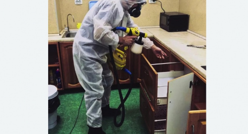 Уничтожение насекомых в квартире. Уржум