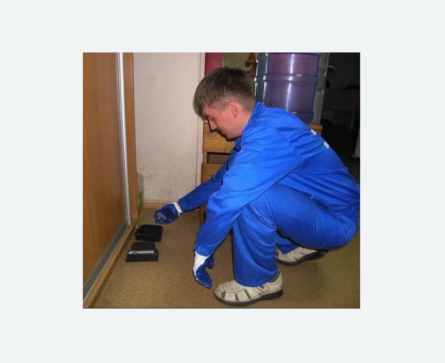 Дератизация крыс в Уржуме