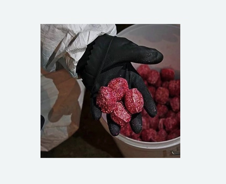 Обработка от крыс в Уржуме