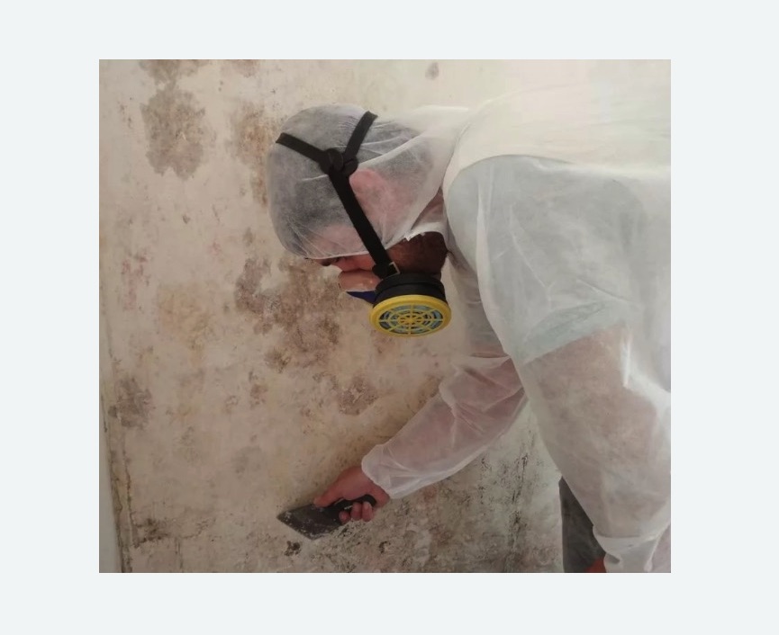 Обработка стен от плесени в Уржуме