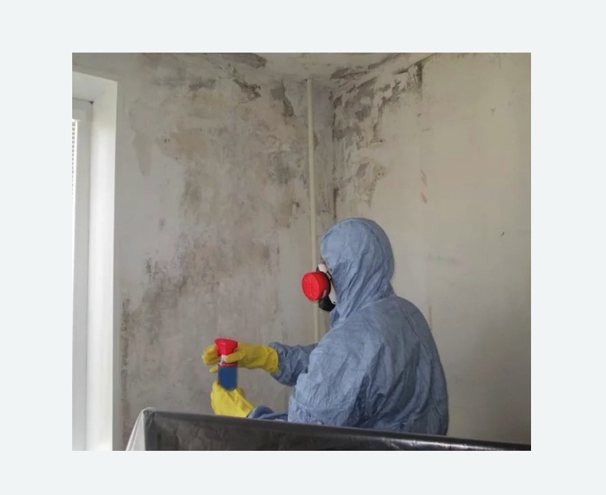Удаление плесени в квартире в Уржуме