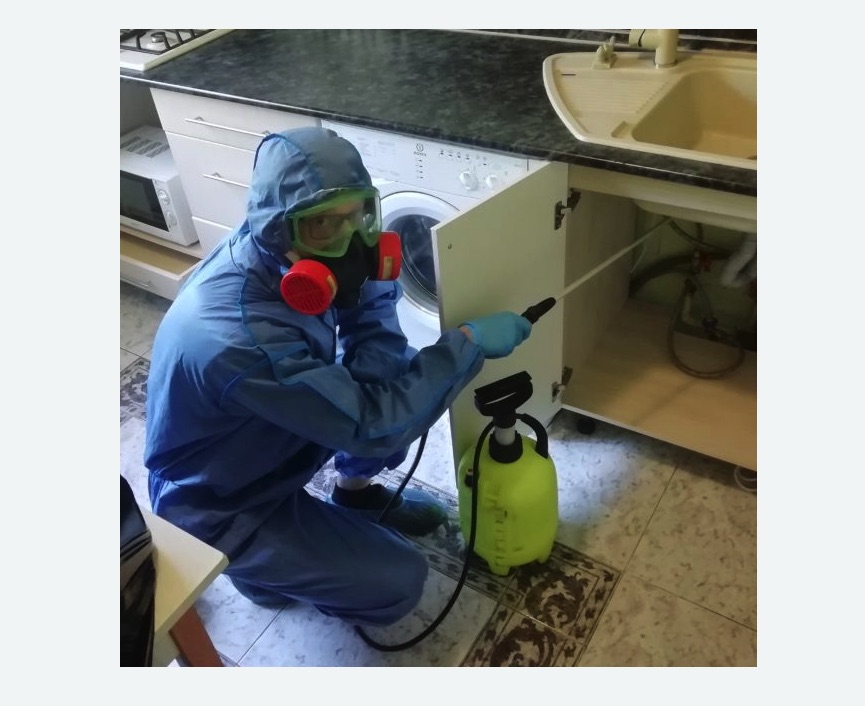 обработка от муравьев в квартире в Уржуме