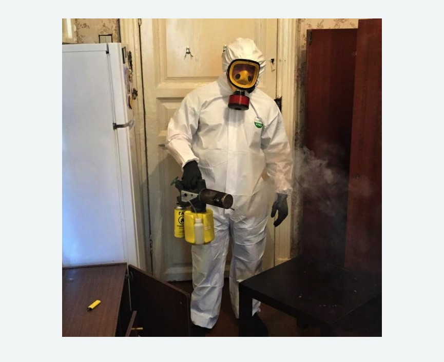 уничтожение муравьев в квартире в Уржуме